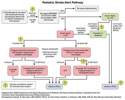 Pediatric Stroke Alert Pathway AIS Guideline Infographic