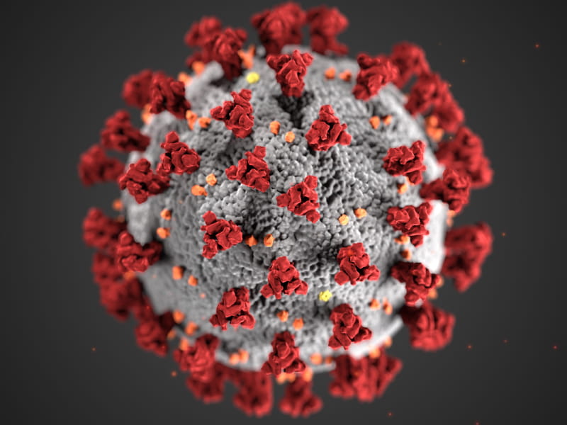 Covid Virus