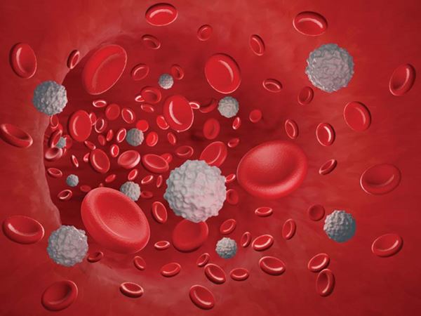 White and red blood cells in 3D Illustration