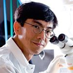 Eng H. Lo, PhD, FAHA