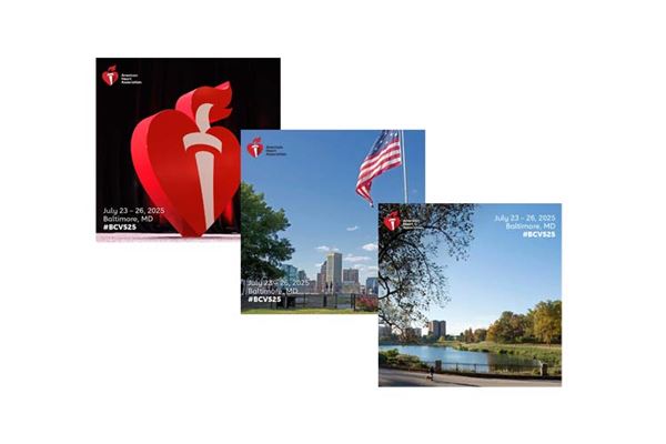 A thumbnail image of the three social media slides to promote BCVS25.