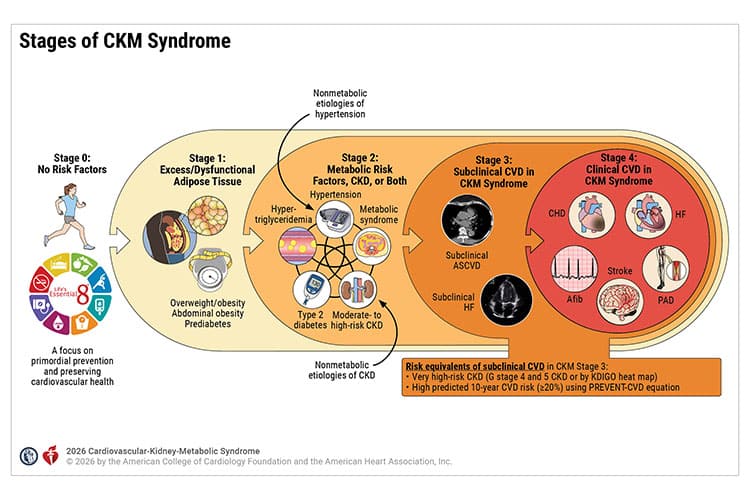 Figure 1 Stages of CKM Syndrome