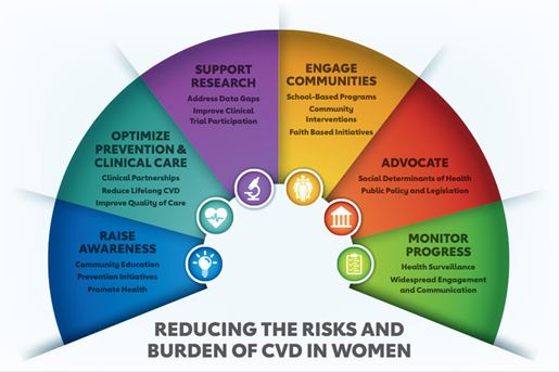 REDUCING THE RISKS AND BURDEN OF CVD IN WOMEN RAISE AWARENESS • Community Education • Prevention Initiatives • Promote Health OPTIMIZE PREVENTION & CLINICAL CARE • Clinical Partnerships • Reduce Lifelong CVD • Improve Quality of Care SUPPORT RESEARCH • Address Data Gaps • Improve Clinical • Trial Participation ENGAGE COMMUNITIES School-Based Programs Community Interventions Faith Based Initiatives ADVOCATE • Social Determinants of Health • Public Policy and Legislation MONITOR PROGRESS • Health Surveillance • Widespread Engagement and Communication