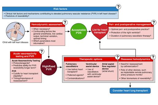 Transplant Considerations illustration