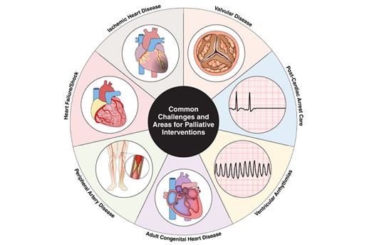 challenges for palliative interventions