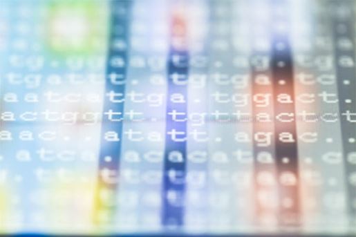 DNA sequence on a touchpad screen