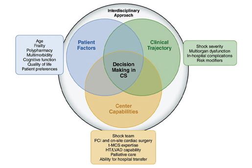 decision making in cardiogenic shock
