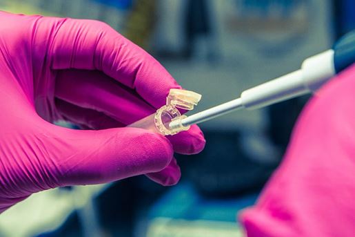 gloved hands researcher