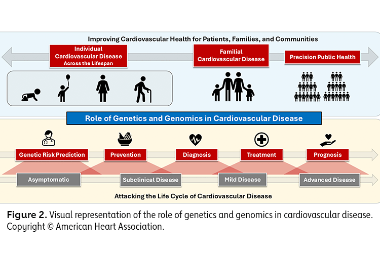 Figure 2 Visual representation of the role of genetics and genomics in cardiovascular disease