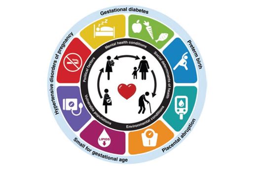 Opportunities in the Postpartum Period to Reduce Cardiovascular Disease Risk After Adverse Pregnancy Outcomes