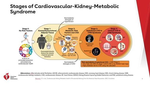 A graphic image illustrating the stages of Cardiovascular-Kidney-Metabolic Syndrome. Stage 0 shows a graphic image of a healthy woman jogging and the logo for the AHA's Life's Essential 8 calculator, which focuses on primordial prevention and preserving cardiovascular health. From that starting point, a white arrow points into a yellow zone for Stage 1: Excess/Dysfuntional Adipose Tissue, which shows a cutout of an overweight/obese figure, a microscopic view of dysfunctional adipose tissue, and feet on a scale over the caption: Overweight/obesity, Abdominal obeisty, Impared glucose tolerance. From there, a light yellow arrow points into a darker yellow zone for Stage 2: Metabolic Risk Factors and CKD showing an illustration of the interactions between hypertension (blood pressure cuff), metabolic syndrome (cell slide), moderate to high-risk CKD (kidneys), type 2 diabetes (blood sugar reading), and hypertriglyuceridemia (molecular sugars). From there, a dark yellow arrow points into an orange zone for Stage 3: Subclinical CVD in CK Syndrome illustrated with scans showing evidence of subclinical ASCVD and subclinical HF. The orange zone further describs risk equivalents of subclinical CVD in CKM Stage 3: 1) Very high-risk CKD (G stage 4 and 5 CKD or by KDIGO heat map) and 2) High predicted risk for CVD using risk calculator. Finally, an orange arrow points into the red zone for Stage 4: Clinical CVD in CKM Syndrome showing five medical images representing CHD (injured heart), HF (enlarged heart), PAD (blocked arteries in the leg), Stroke (injured brain), and Afib (arrhhythmia reading).
