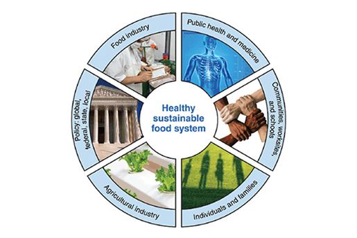Figure. Multiple stakeholders contribute to a healthy, sustainable food system.