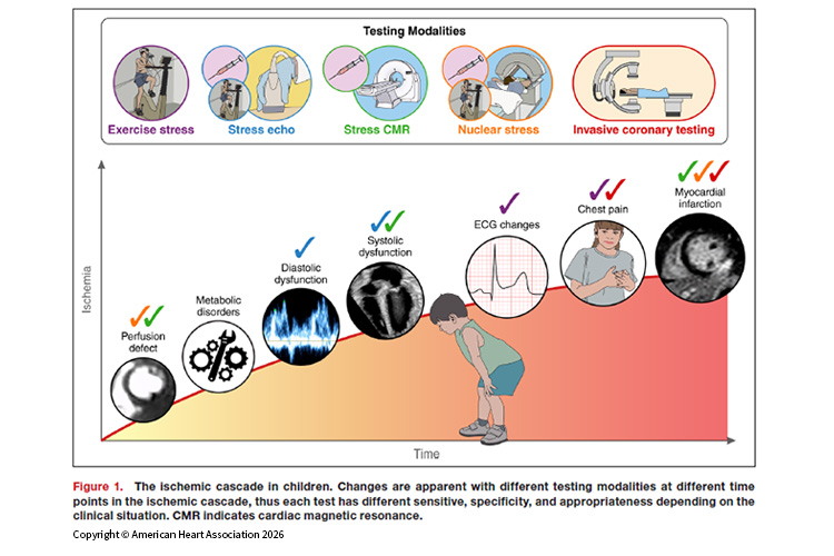 Figure showing the Ischemic cascade in children.