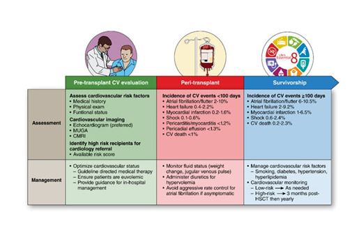 pre-transplant cv evaluation image