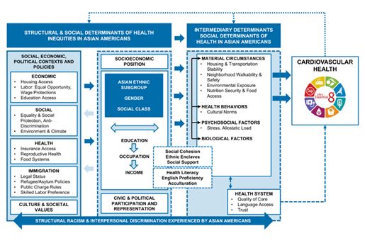 structural and social determinants of health inequities in asian americans
