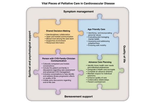 vital pieces of palliative care in cardiovascular disease