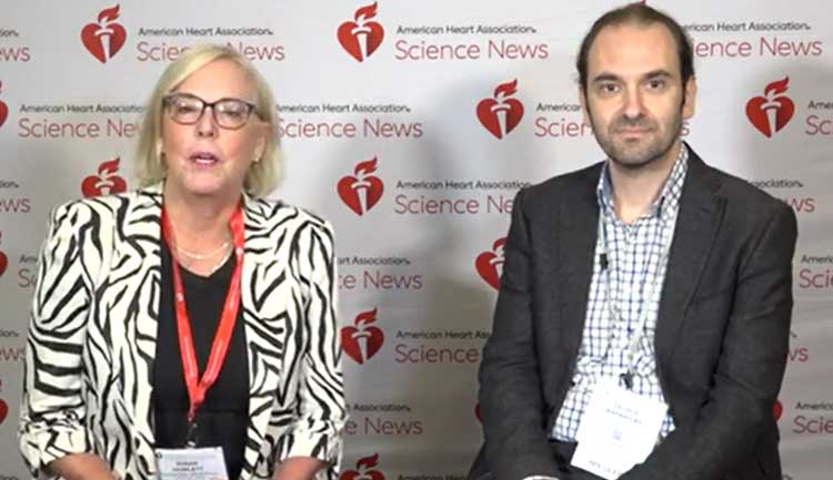 A still frame from a video recorded during BCVS 2023.