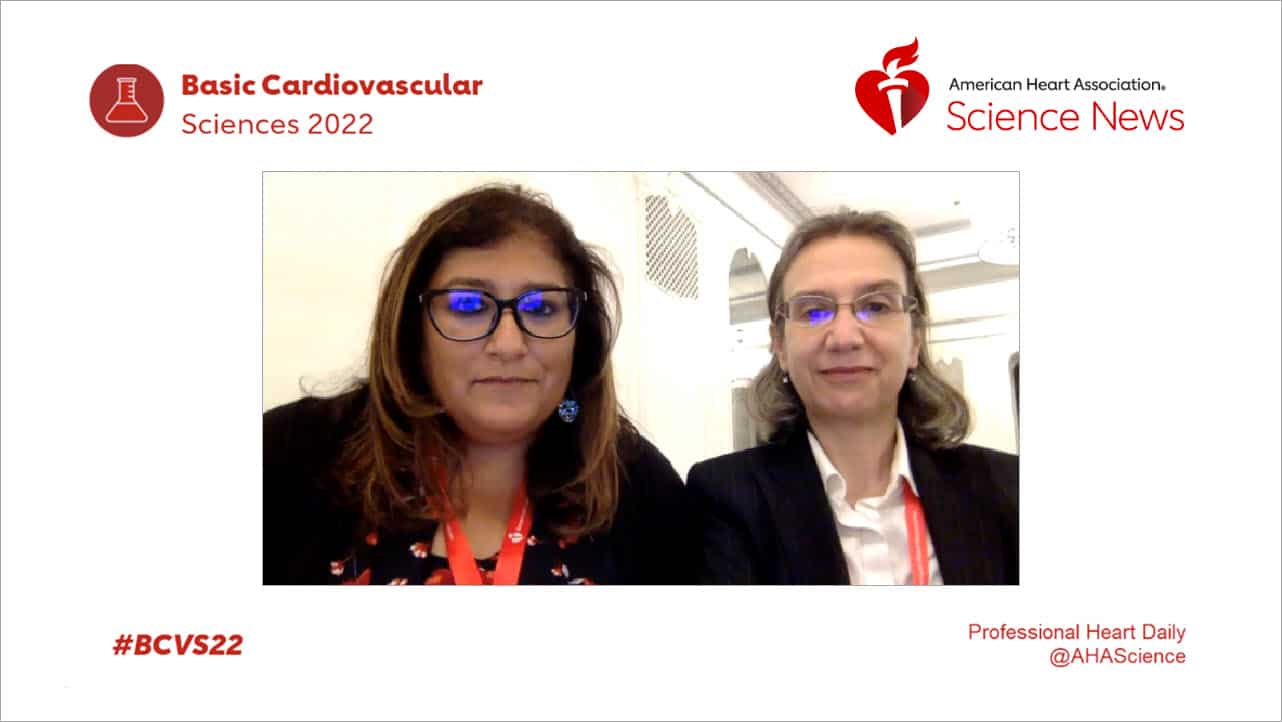 Play the Bench to Bedside: Cardiovascular Therapeutics Not Lost in Translation video